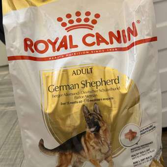 Корм для собак ROYAL CANIN немецких овчарок 3кг: отзыв пользователя. Зоомагазин Зоозавр