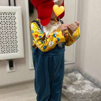 Карнавальный костюм Гном Ярик пуговка: отзыв пользователя Детский Мир