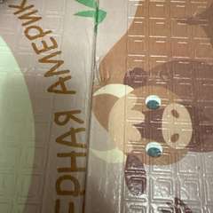 Фото отзыва 10567239