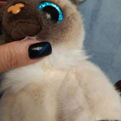 Фото отзыва 11006012