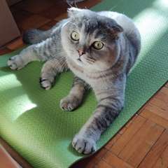 Фото отзыва 10714740