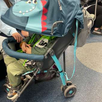Коляска прогулочная Babyton Zoo Blue синий: отзыв пользователя ДетМир