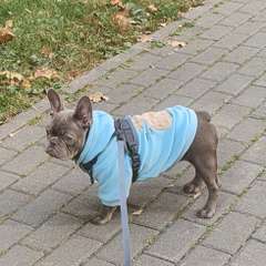 Фото отзыва 10947946