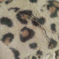 Фото отзыва 10708035