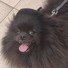 Фото отзыва 10760233