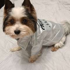 Фото отзыва 10606777