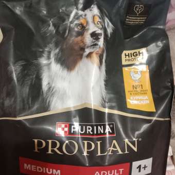 Корм сухой для собак PRO PLAN EVERYDAY NUTRITION 3 кг с высоким содержанием курицы для средних пород: отзыв пользователя. Зоомагазин Зоозавр