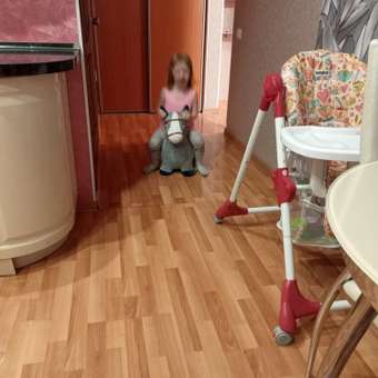 Фитбол BabyGo: отзыв пользователя ДетМир