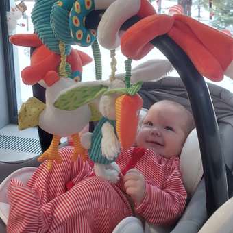 Игрушка Happy Baby: отзыв пользователя Детский Мир