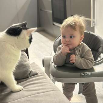 Ходунки Babyton Easy Walk Grey серый: отзыв пользователя ДетМир