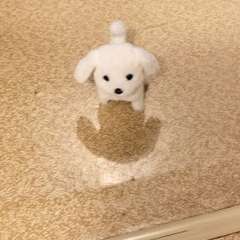 Видео отзыва 11314383