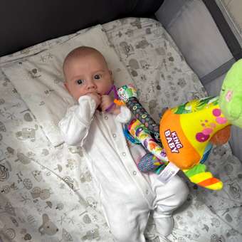 Игрушка Zeimas подвеска Монтессори Динозавр: отзыв пользователя Детский Мир