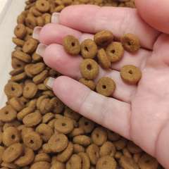 Фото отзыва 10978607