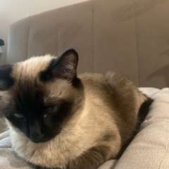 Фото отзыва 10464373