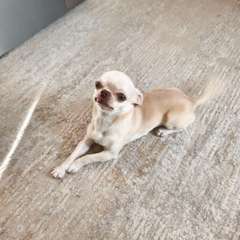 Фото отзыва 10604441