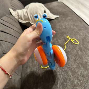 Игрушка BabyGo каталка Улитка: отзыв пользователя Детский Мир