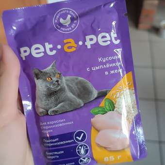 Корм для кошек Pet-a-Pet 85г стерилизованных Кусочки с цыпленком в желе пауч: отзыв пользователя. Зоомагазин Зоозавр