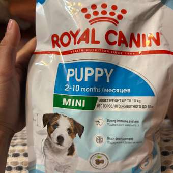 Корм для щенков ROYAL CANIN Puppy мелких пород 800г: отзыв пользователя. Зоомагазин Зоозавр