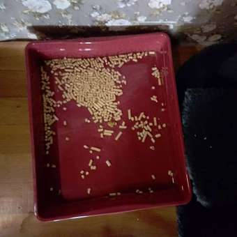Лоток для кошек LUCKY PET Открытый пластиковый бордовый: отзыв пользователя. Зоомагазин Зоозавр