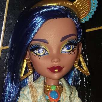 Кукла модельная Monster High Cleo de Nile: отзыв пользователя ДетМир