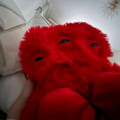 Фото отзыва 11120029