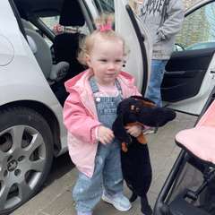 Фото отзыва 11204187