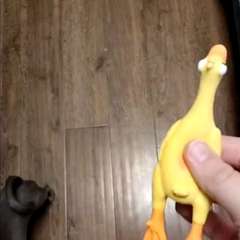 Видео отзыва 8269020