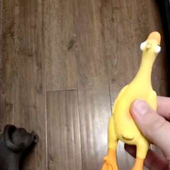 Игрушка для собак Triol Утка из латекса 140мм: отзыв пользователя. Зоомагазин Зоозавр