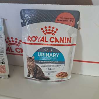 Корм для кошек ROYAL CANIN Urinary Care для поддержания здоровья мочевыделительной системы 85г: отзыв пользователя. Зоомагазин Зоозавр