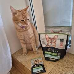 Фото отзыва 10594088