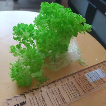 Набор для опытов KIKI: отзыв пользователя Детский Мир