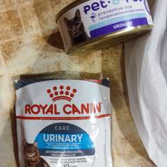 Фото отзыва 10819568