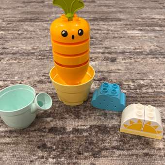 Конструктор LEGO DUPLO Growing Carrot 11 дет.: отзыв пользователя ДетМир
