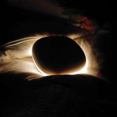 Фото отзыва 10829377