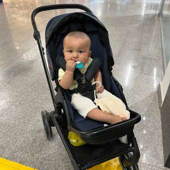 Коляска прогулочная Olsson Jazz Blue голубой: отзыв пользователя Детский Мир