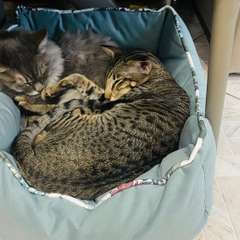 Фото отзыва 11050572