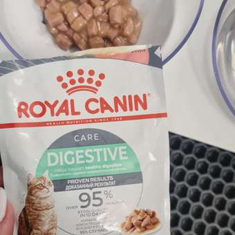 Корм для кошек Royal Canin 85г Digestive Care соус: отзыв пользователя. Зоомагазин Зоозавр