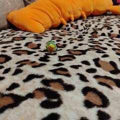 Фото отзыва 10847960