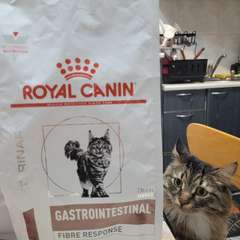 Фото отзыва 10725822