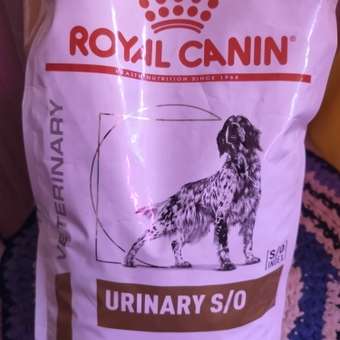 Корм для собак ROYAL CANIN Veterinary Diet Urinary S/O LP 18 при заболеваниях дистального отдела мочевыделительной системы 2кг: отзыв пользователя. Зоомагазин Зоозавр