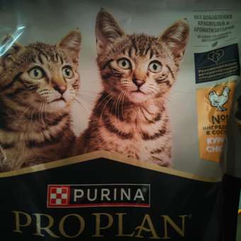 Корм для котят PRO PLAN Healthy Start с курицей 400+200г: отзыв пользователя. Зоомагазин Зоозавр