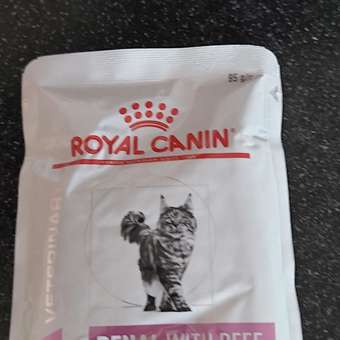 Корм для кошек ROYAL CANIN Renal with beef для поддержания функции почек 85г: отзыв пользователя. Зоомагазин Зоозавр