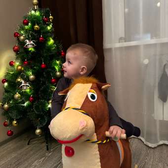 Качалка Тутси лошадка: отзыв пользователя Детский Мир