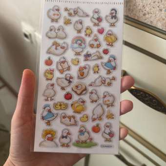 Наклейки Attivio Уточки: отзыв пользователя ДетМир