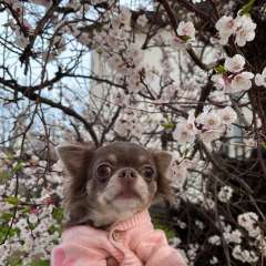 Фото отзыва 10485133