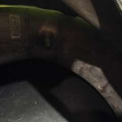 Фото отзыва 10847424