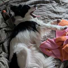 Фото отзыва 9188563