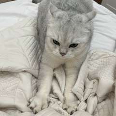 Фото отзыва 10690493