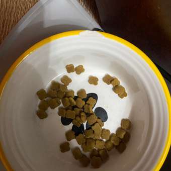 Корм сухой для котят ROYAL CANIN Kitten 300г: отзыв пользователя. Зоомагазин Зоозавр