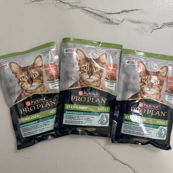 Корм влажный для кошек PRO PLAN MAINTENANCE 85г с лососем в соусе для стерилизованных: отзыв пользователя. Зоомагазин Зоозавр